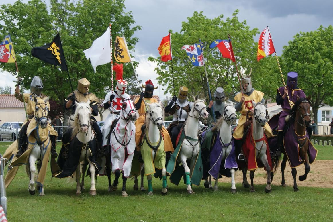 chevaux en groupe herbe